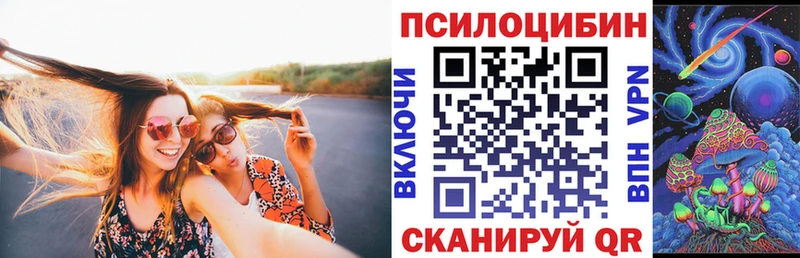 Галлюциногенные грибы Psilocybine cubensis продажа наркотиков Суоярви